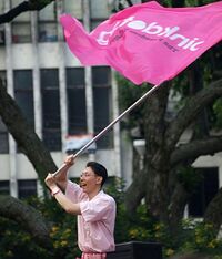 Roy Tan waving the Pink Dot flag during the inaugural Pink Dot event at Hong Lim Park in May 2009