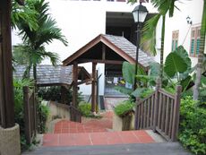 Going down the stairs leading to Ann Siang Road.