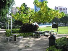 The stone table and benches where young boys and other gays used to gather and chat especially in the 1980s.