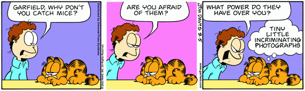 Identity Function Garfield.png