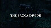 Episode:The Broca Divide