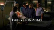 Episode:Forever in a Day