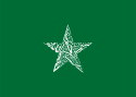 Flag of Abbasid