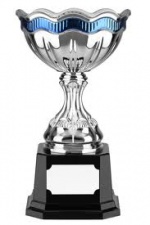 2013 OVLMS R-Kuh Brakes 100 @ Salem Winner's Trophy