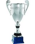 2010 TM Junior Series Round of Decatur Silver Trophy