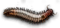 Dog worm 01.png