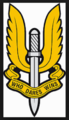 SAS емблема 01.png