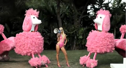 Candi in the video to "Jigglypuff"