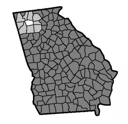 Gordon County, Warriors of the Rebellion