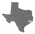 Tx chambers.png
