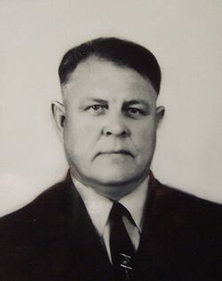 Александр Иванович Мелихов
