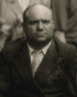 Николай Гаврилович Немоляев