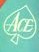 Ace Logo.jpg