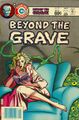 Beyond the Grave Vol 1 11.jpg