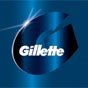 Gillette2009.jpg