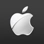 Apple 2012.jpg