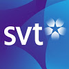 SVT 2013.jpg