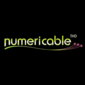Numericable 2010 b.png
