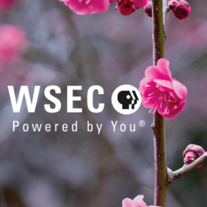 WSEC 2020 logo.png