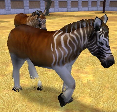 Free Admission, Zoo Tycoon Wiki