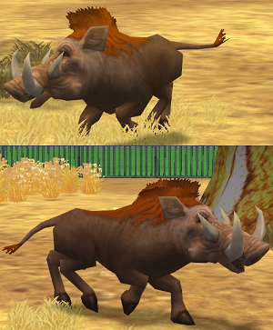 Zoo Tycoon 2: African Adventure, Zoo Tycoon Wiki