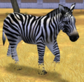 Common Zebra (Zoo Tycoon 2).png