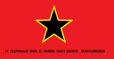 Flag of the Revolutionary Insurrectionary Army of Mars