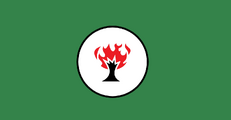 Flag of Freedom Club