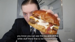 Reviewbrah Image.png