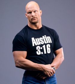 Steve Austin Image.png