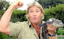 Steve Irwin Image.png