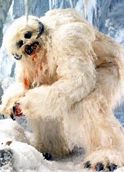 Wampa Image.png