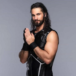 Seth Rollins Image.png