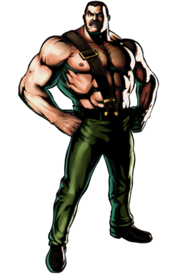 Mike Haggar Image.png