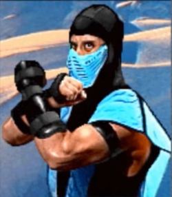 Sub-Zero Image.png