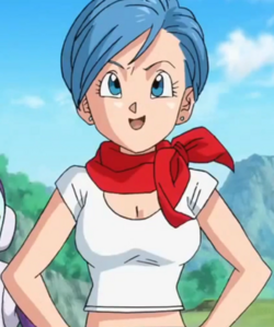 Bulma Brief Image.png