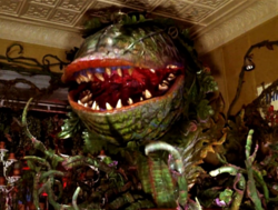 Audrey II Image.png