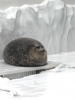 Round Seal Image.png