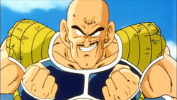 Nappa Image.png