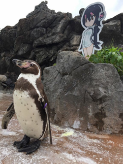 Grape-kun Image.png