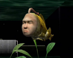 Seaman Image.png