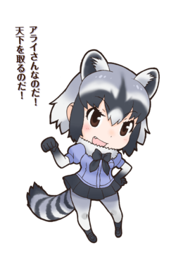 Common Raccoon Image.png
