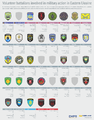 Overview of pro-Ukraine irregular forces.png