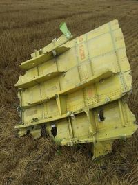 MH17 small roof section.jpg