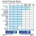 Covid-19 vaccine watch.jpeg