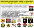 Syrian volunteer militia.jpg