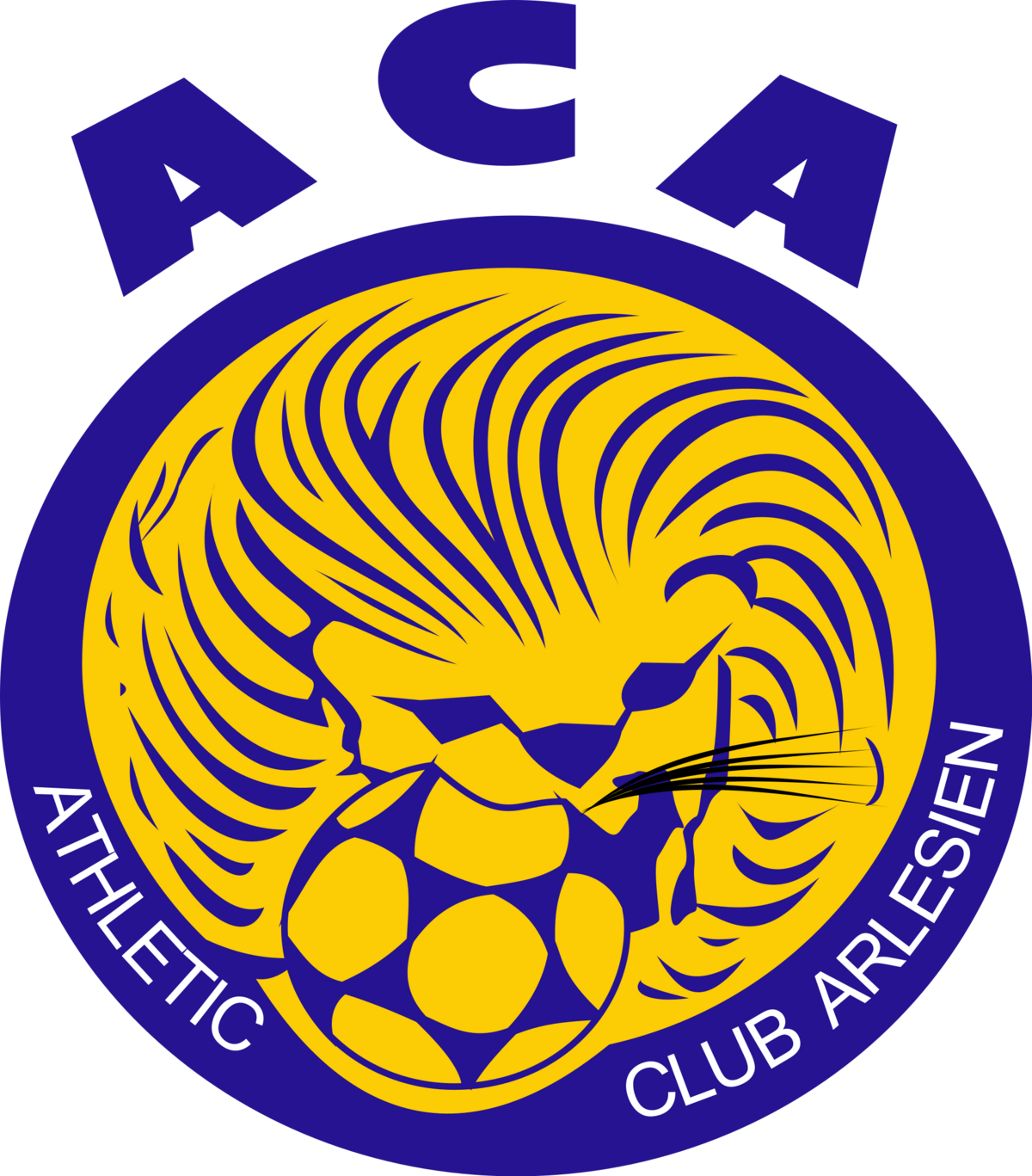 Fanion Vintage Athletic Club Arlésien AC Arles - Foot - Avant 2000
