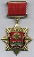 Merit Lipetsk region 1.jpg