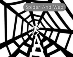 Spider-and-web.jpg