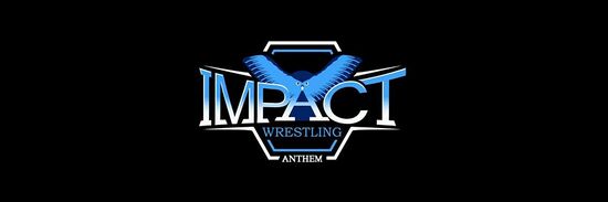 Impact Wrestling Banner.jpg